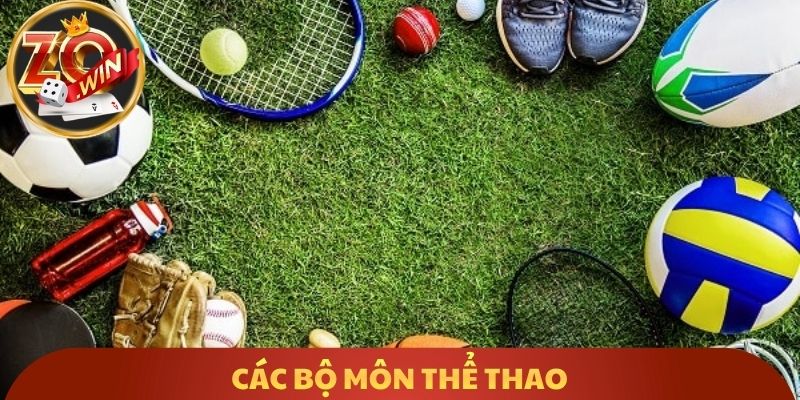 Các bộ môn thể thao