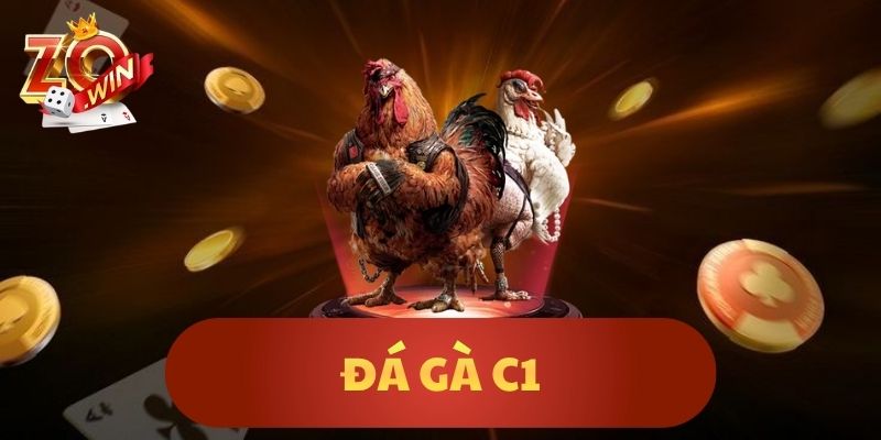 Đá Gà C1